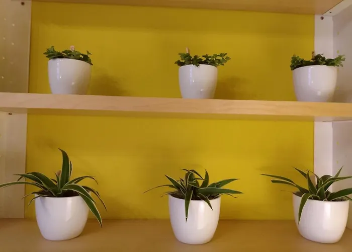 Holiday home Trietje Ghent