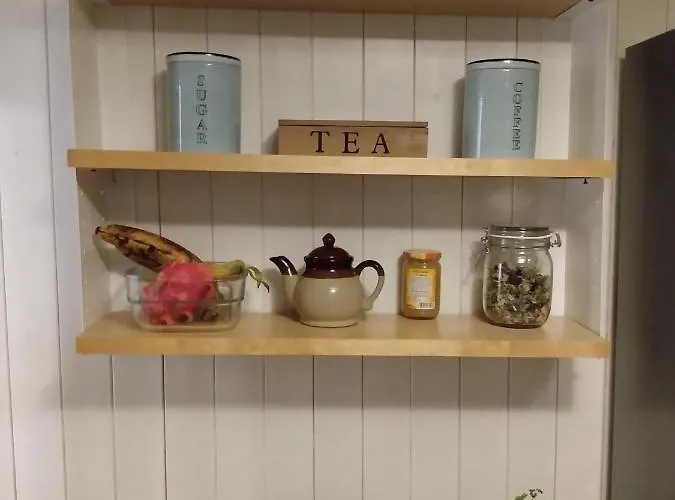 Trietje Сasa de vacaciones Gante